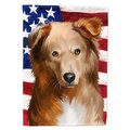 Carolines Treasures Basque Shepherd Dog American Garden Flag - 11 x 0.01 x 15 in. CK6418GF